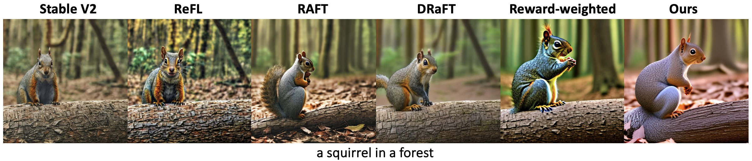 A squirrel in a forest